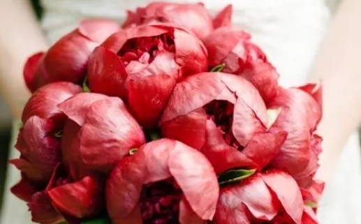 2025年农历九月廿六是不是结婚吉日 办喜事吉利吗 2025年农历九月廿六是不是结婚吉日 办喜事吉利吗