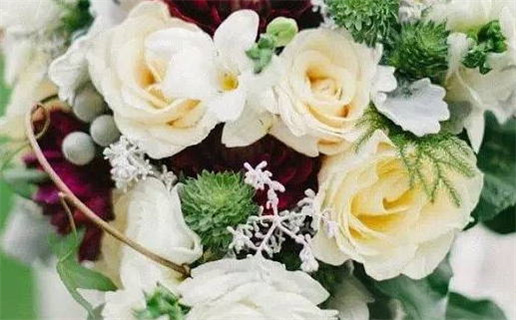 2024年12月20日结婚吉日查询 今日办婚礼好不好 2024年12月20日结婚吉日查询 今日办婚礼好不好