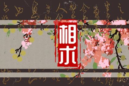 男人右眼跳是什么预兆 男人右眼跳星期预兆 男人右眼跳是什么预兆 男人右眼跳星期预兆
