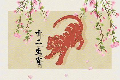 虎年生个虎宝宝好吗 为什么虎宝宝存在争议 虎年生个虎宝宝好吗 为什么虎宝宝存在争议