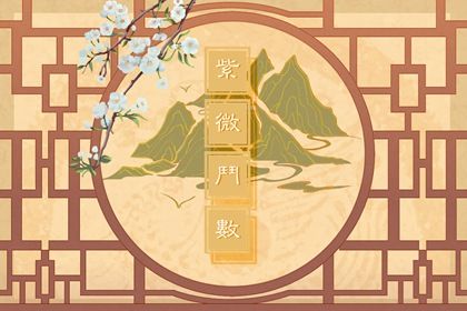 2023年紫微斗数运势 紫薇2023年运势测算免费 2023年紫微斗数运势 紫薇2023年运势测算免费
