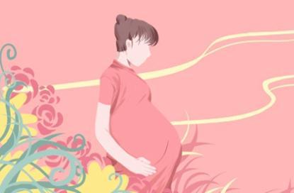 丙子年有哪些年份 丙子年出生属什么生肖 丙子年有哪些年份 丙子年出生属什么生肖