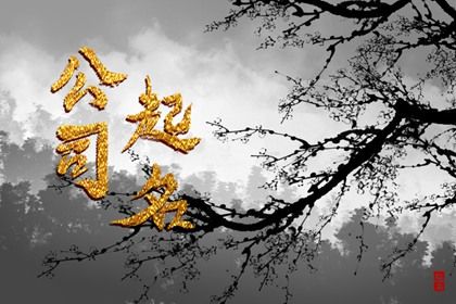 最火的公司名字大全 公司名字寓意良好 最火的公司名字大全 公司名字寓意良好