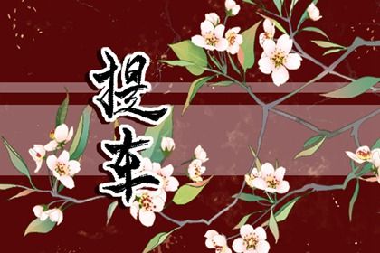 2024年2月21日提车怎么样 适不适合买新车 2024年2月21日提车怎么样 适不适合买新车