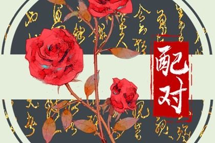 2002年和1999年婚姻 较为平和的组合则运势一般 2002年和1999年婚姻 较为平和的组合则运势一般