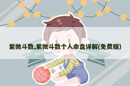 紫微斗数,紫微斗数个人命盘详解(免费版) 紫微斗数,紫微斗数个人命盘详解(免费版)