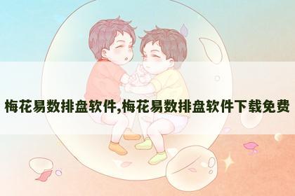 梅花易数排盘软件,梅花易数排盘软件下载免费 梅花易数排盘软件,梅花易数排盘软件下载免费