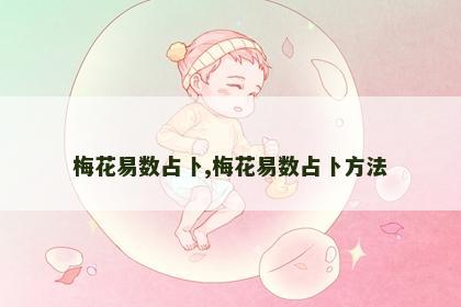 梅花易数占卜,梅花易数占卜方法 梅花易数占卜,梅花易数占卜方法