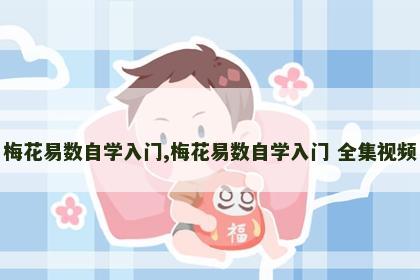 梅花易数自学入门,梅花易数自学入门 全集视频 梅花易数自学入门,梅花易数自学入门 全集视频