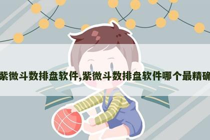 紫微斗数排盘软件,紫微斗数排盘软件哪个最精确 紫微斗数排盘软件,紫微斗数排盘软件哪个最精确