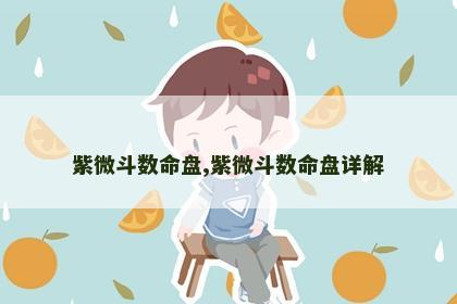 紫微斗数命盘,紫微斗数命盘详解 紫微斗数命盘,紫微斗数命盘详解