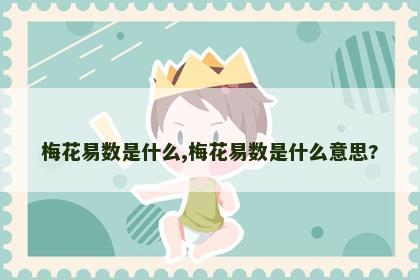 梅花易数是什么,梅花易数是什么意思? 梅花易数是什么,梅花易数是什么意思?