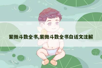 紫微斗数全书,紫微斗数全书白话文注解 紫微斗数全书,紫微斗数全书白话文注解