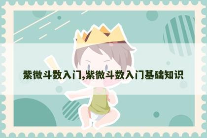 紫微斗数入门,紫微斗数入门基础知识 紫微斗数入门,紫微斗数入门基础知识