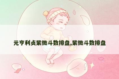 元亨利贞紫微斗数排盘,紫微斗数排盘 元亨利贞紫微斗数排盘,紫微斗数排盘