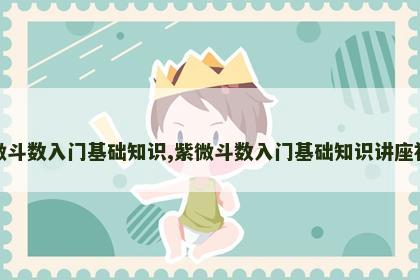 紫微斗数入门基础知识,紫微斗数入门基础知识讲座视频 紫微斗数入门基础知识,紫微斗数入门基础知识讲座视频
