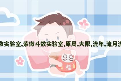 紫微斗数实验室,紫微斗数实验室,原局,大限,流年,流月流时排盘 紫微斗数实验室,紫微斗数实验室,原局,大限,流年,流月流时排盘