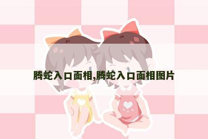 腾蛇入口面相,腾蛇入口面相图片 腾蛇入口面相,腾蛇入口面相图片