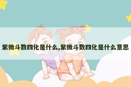 紫微斗数四化是什么,紫微斗数四化是什么意思 紫微斗数四化是什么,紫微斗数四化是什么意思