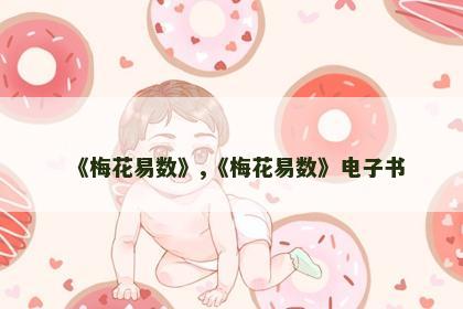 《梅花易数》,《梅花易数》电子书 《梅花易数》,《梅花易数》电子书