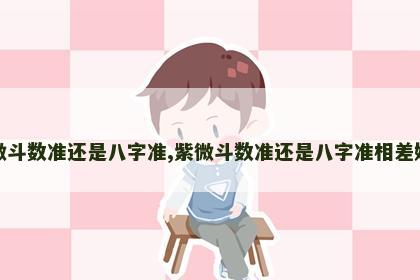 紫微斗数准还是八字准,紫微斗数准还是八字准相差好多 紫微斗数准还是八字准,紫微斗数准还是八字准相差好多