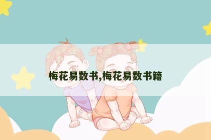 梅花易数书,梅花易数书籍 梅花易数书,梅花易数书籍