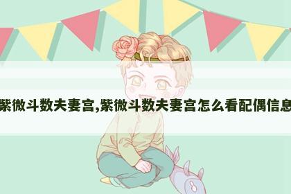 紫微斗数夫妻宫,紫微斗数夫妻宫怎么看配偶信息 紫微斗数夫妻宫,紫微斗数夫妻宫怎么看配偶信息