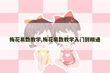 梅花易数教学,梅花易数教学入门到精通 梅花易数教学,梅花易数教学入门到精通