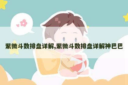 紫微斗数排盘详解,紫微斗数排盘详解神巴巴 紫微斗数排盘详解,紫微斗数排盘详解神巴巴