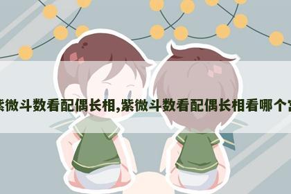 紫微斗数看配偶长相,紫微斗数看配偶长相看哪个宫 紫微斗数看配偶长相,紫微斗数看配偶长相看哪个宫