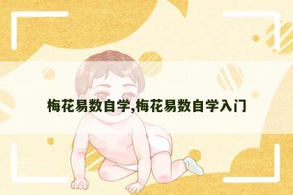 梅花易数自学,梅花易数自学入门 梅花易数自学,梅花易数自学入门
