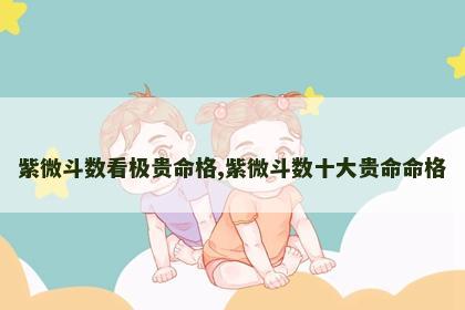紫微斗数看极贵命格,紫微斗数十大贵命命格 紫微斗数看极贵命格,紫微斗数十大贵命命格