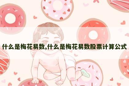 什么是梅花易数,什么是梅花易数股票计算公式 什么是梅花易数,什么是梅花易数股票计算公式