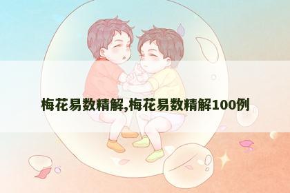 梅花易数精解,梅花易数精解100例 梅花易数精解,梅花易数精解100例
