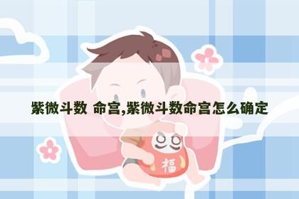 紫微斗数 命宫,紫微斗数命宫怎么确定 紫微斗数 命宫,紫微斗数命宫怎么确定