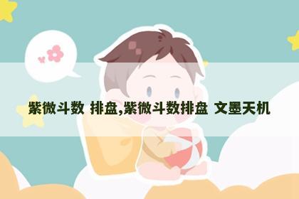紫微斗数 排盘,紫微斗数排盘 文墨天机 紫微斗数 排盘,紫微斗数排盘 文墨天机