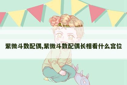 紫微斗数配偶,紫微斗数配偶长相看什么宫位 紫微斗数配偶,紫微斗数配偶长相看什么宫位