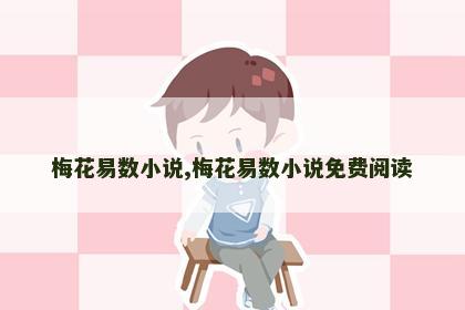 梅花易数小说,梅花易数小说免费阅读 梅花易数小说,梅花易数小说免费阅读