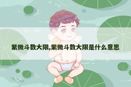 紫微斗数大限,紫微斗数大限是什么意思 紫微斗数大限,紫微斗数大限是什么意思