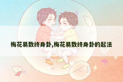 梅花易数终身卦,梅花易数终身卦的起法 梅花易数终身卦,梅花易数终身卦的起法