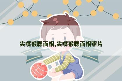 尖嘴猴腮面相,尖嘴猴腮面相照片 尖嘴猴腮面相,尖嘴猴腮面相照片