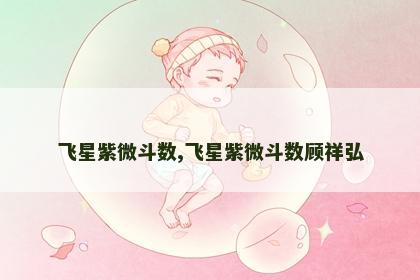 飞星紫微斗数,飞星紫微斗数顾祥弘 飞星紫微斗数,飞星紫微斗数顾祥弘