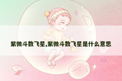紫微斗数飞星,紫微斗数飞星是什么意思 紫微斗数飞星,紫微斗数飞星是什么意思
