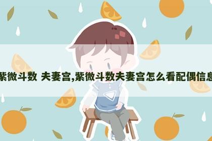 紫微斗数 夫妻宫,紫微斗数夫妻宫怎么看配偶信息 紫微斗数 夫妻宫,紫微斗数夫妻宫怎么看配偶信息