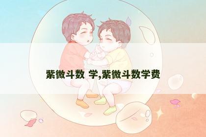 紫微斗数 学,紫微斗数学费 紫微斗数 学,紫微斗数学费
