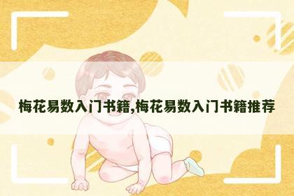 梅花易数入门书籍,梅花易数入门书籍推荐 梅花易数入门书籍,梅花易数入门书籍推荐