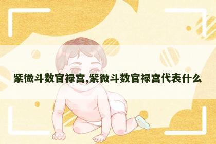 紫微斗数官禄宫,紫微斗数官禄宫代表什么